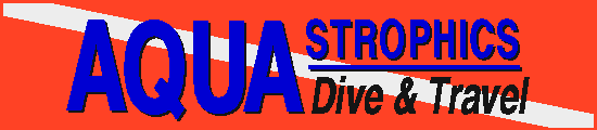 Get your padi scuba diving license replaced.