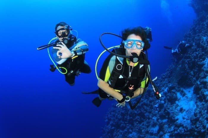 Deep diving in clear blue water.  Divers can get padi certified online.
