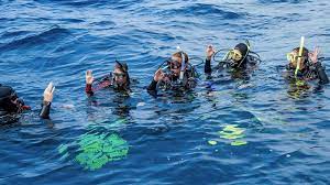 Open water students prepare to dive.