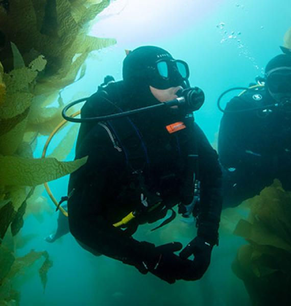 Nitrox Diver in a swim through cave.