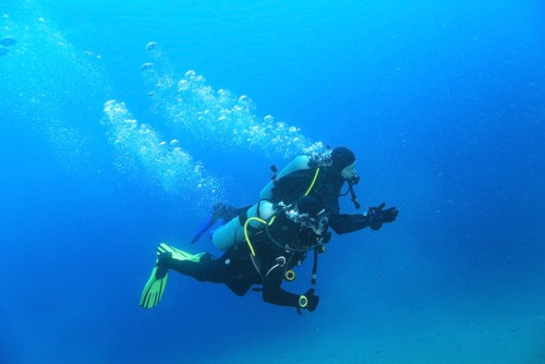 My Nasds scuba replacement card allowed me to dive again.