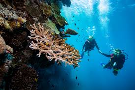 Beginner course scuba diver enjoys the undwater world.