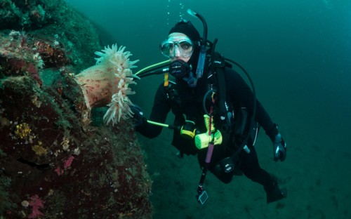 Nitrox diver on a reef on her first dive as a certified Nitrox diver.