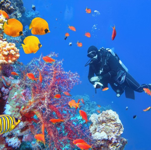 Scuba diver with perfect buoyancy.
