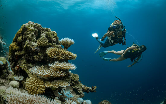A padi couple enjoying the dive on the reef using nitrox enriched air.