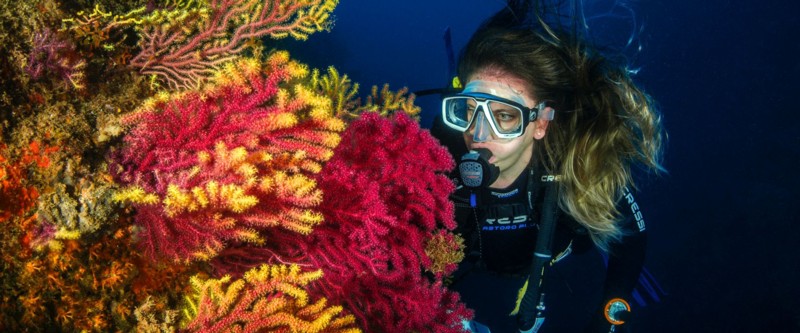 Pretty women on a reef having lots of fun.