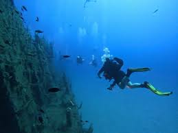 Three scuba divers on a reef after learning to dive with padi.