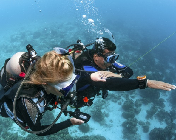 Padi divers underwater loving the certification.