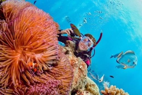 They met on a scuba nitrox dive trip with padi